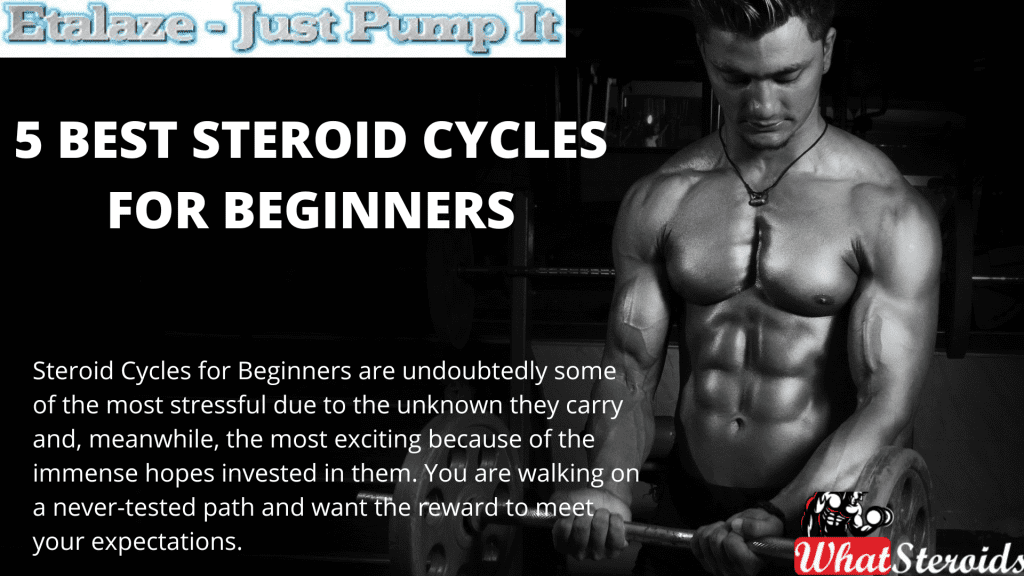 Best Steroid Cycles For Beginners What Steroids