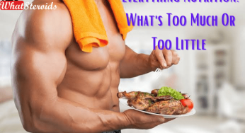 Everything Nutritional Food: What’s Too Much Or Too Little