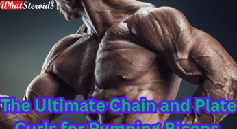 The Ultimate Chain and Plate Curls for Pumping Biceps