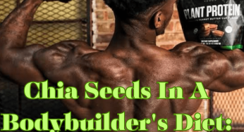 Chia Seeds in A Bodybuilder’s Diet: An Expert’s Advice