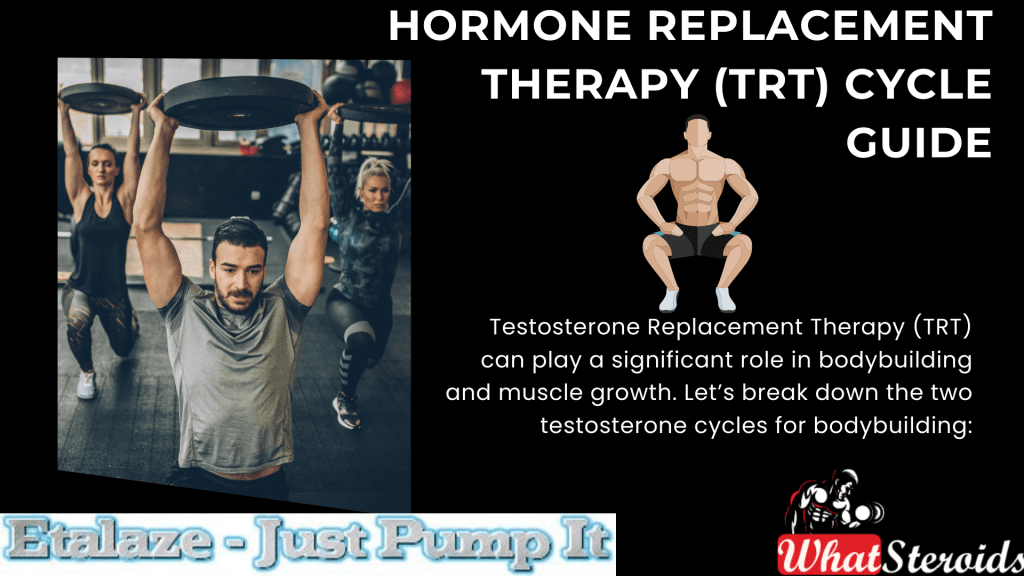 Hormone Replacement Therapy (TRT) Cycle Guide - What Steroids