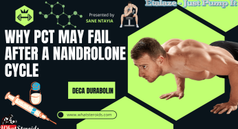 Why Post-Cycle Therapy (PCT) Fails After a Nandrolone Cycle