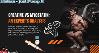 Creatine vs Myostatin: An Expert’s Analysis