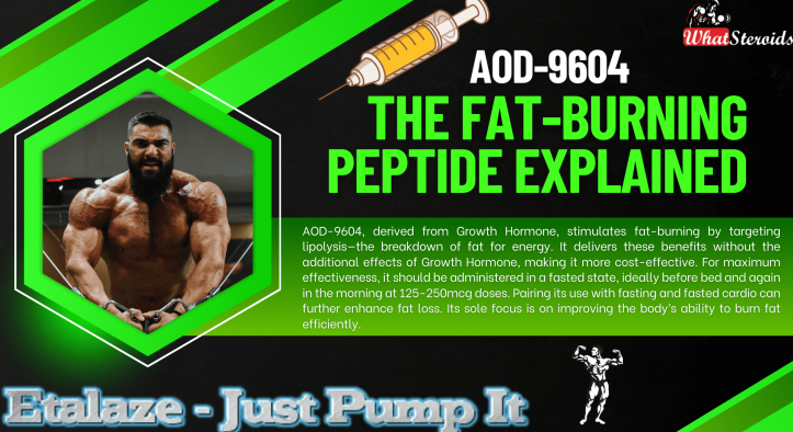 AOD-9604: The Fat-Burning Peptide Explained